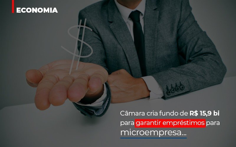 Camara Cria Fundo De Rs 15 9 Bi Para Garantir Emprestimos Para Microempresa Notícias E Artigos Contábeis - Contabilidade na Barra da Tijuca