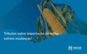 Tributos Sobre Importação De Milho Sofrem Mudanças! Hogar - Contabilidade na Barra da Tijuca